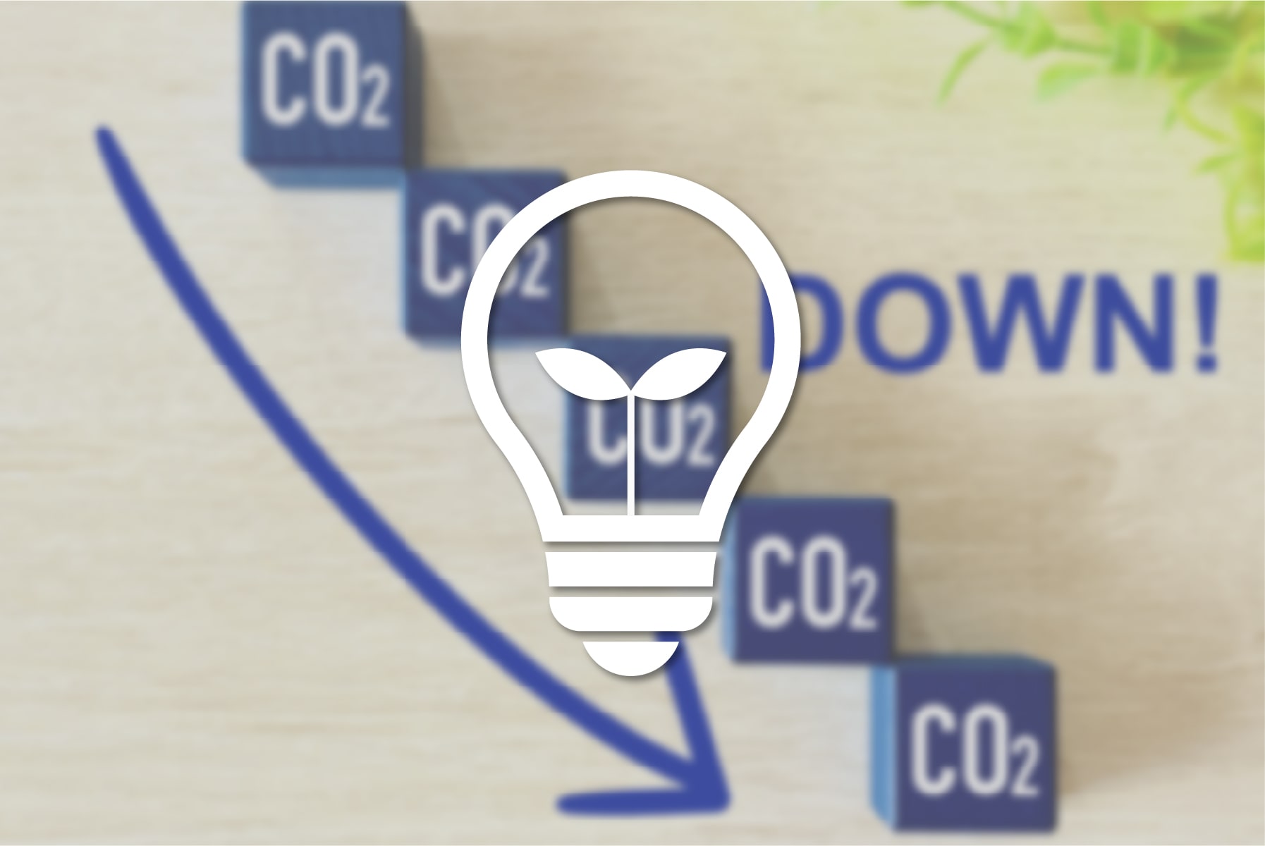 環境価値付き電力の供給